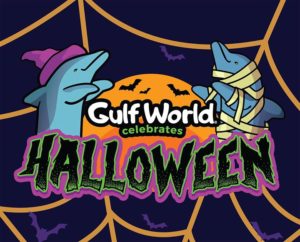 gulf world image