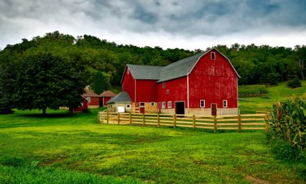 Homesteading: The New Norm