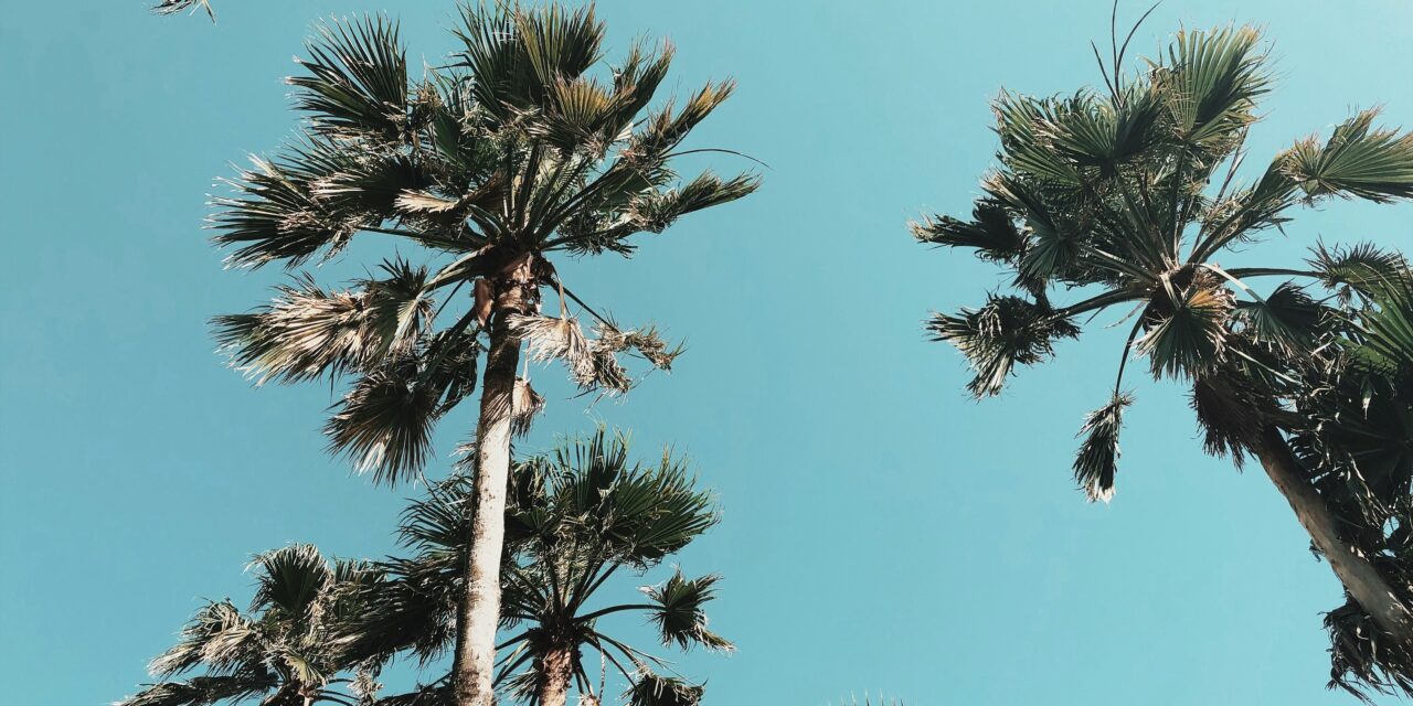 Will Spring Break in PCB ever be the same?