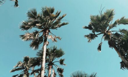 Will Spring Break in PCB ever be the same?