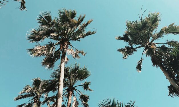 Will Spring Break in PCB ever be the same?