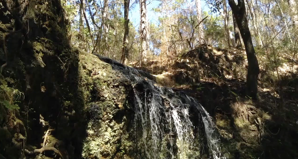 Florida Has Waterfalls?