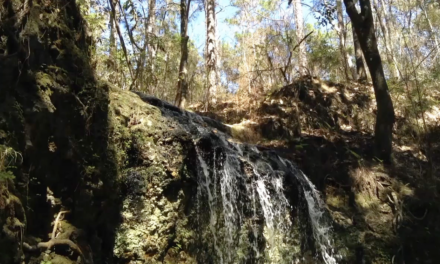 Florida Has Waterfalls?