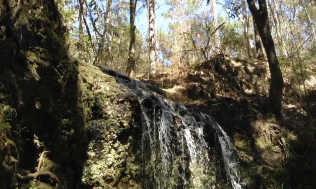 Florida Has Waterfalls?