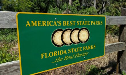 Ever wanted to visit the Garden of Eden?