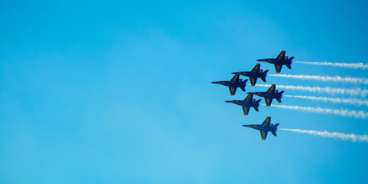 Bear with me and learn about the resident bears on Tyndal!