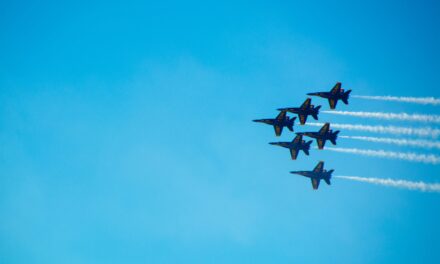 Bear with me and learn about the resident bears on Tyndal!