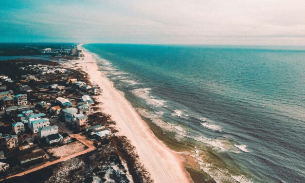 Protecting the skies and the beaches!