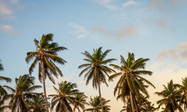 FINNS Island Style Grub