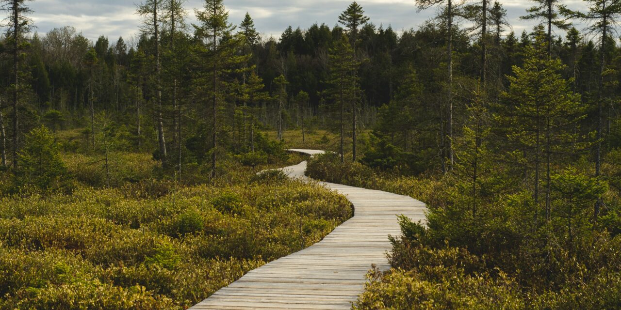 GradHacking: Finding Your Path