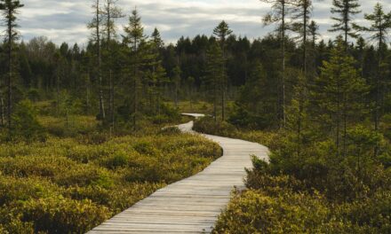 GradHacking: Finding Your Path