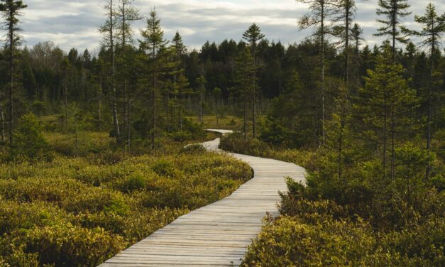 GradHacking: Finding Your Path