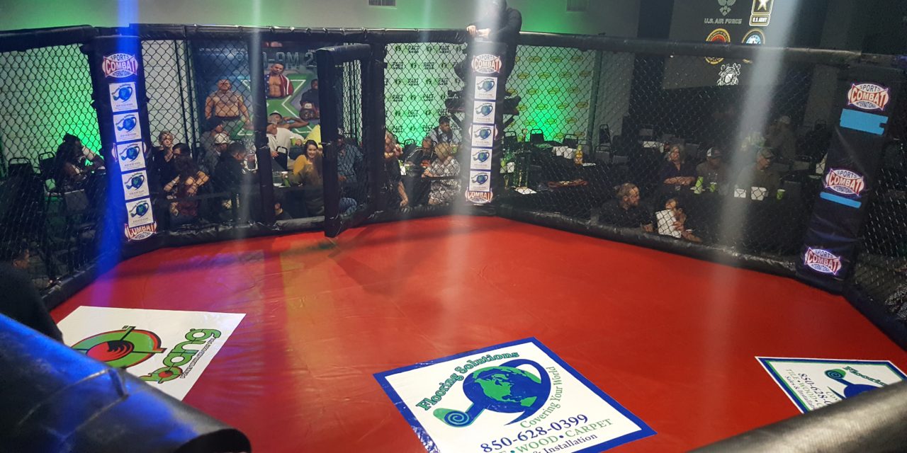 Cameras for a Cage Fight