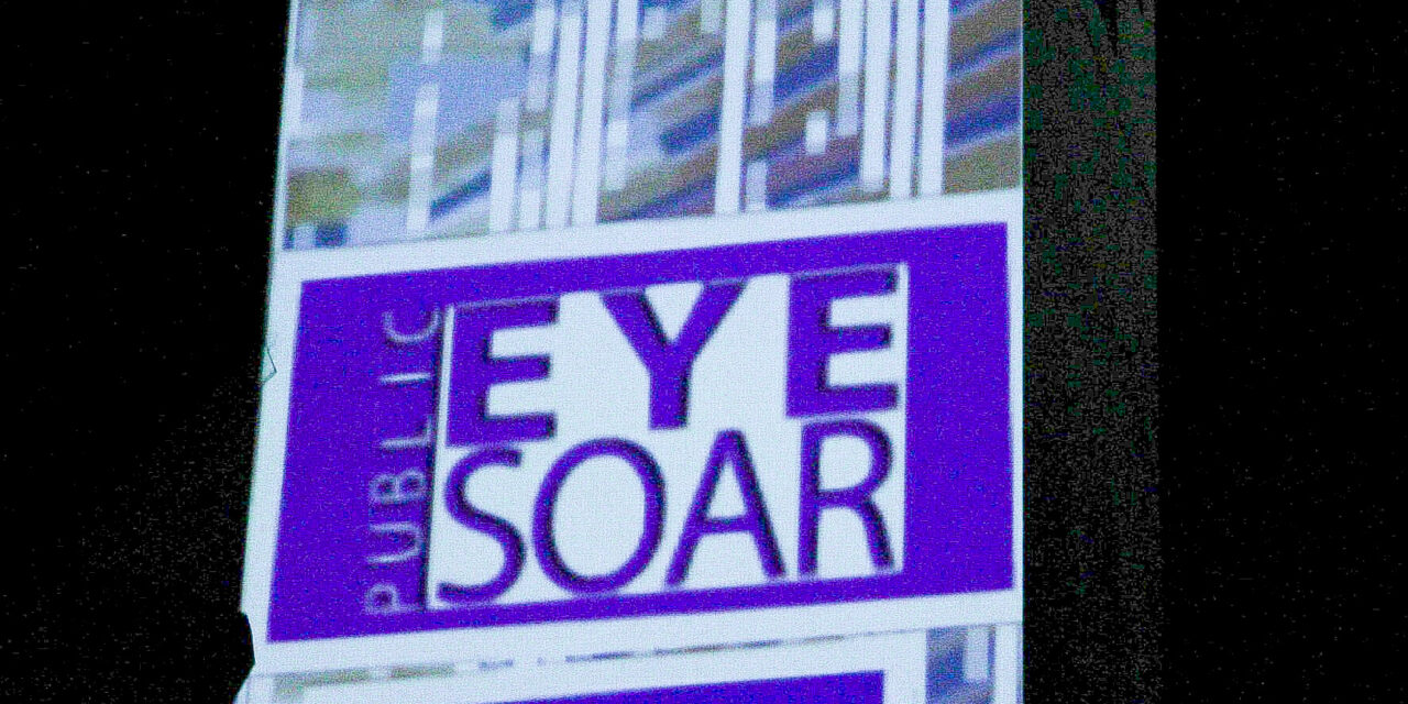 10th Annual Public Eye Soar was a sight for sore eyes