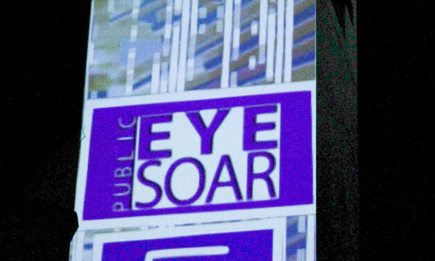 10th Annual Public Eye Soar was a sight for sore eyes