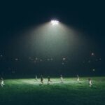 The Unpredictable Nature of the Game