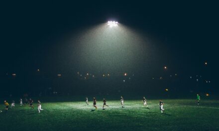 The Unpredictable Nature of the Game