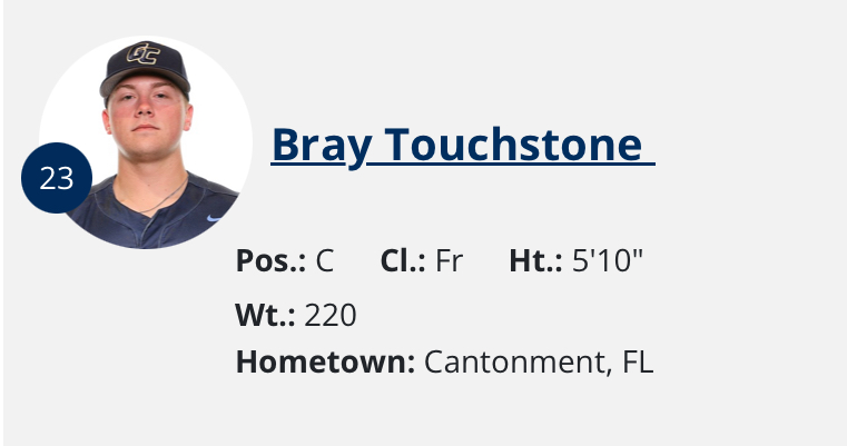 Image of Bray Touchstone #23
