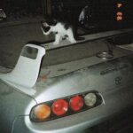 The Car Community