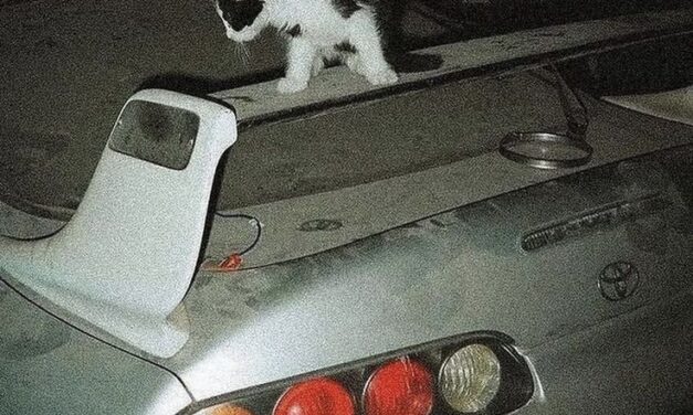 The Car Community