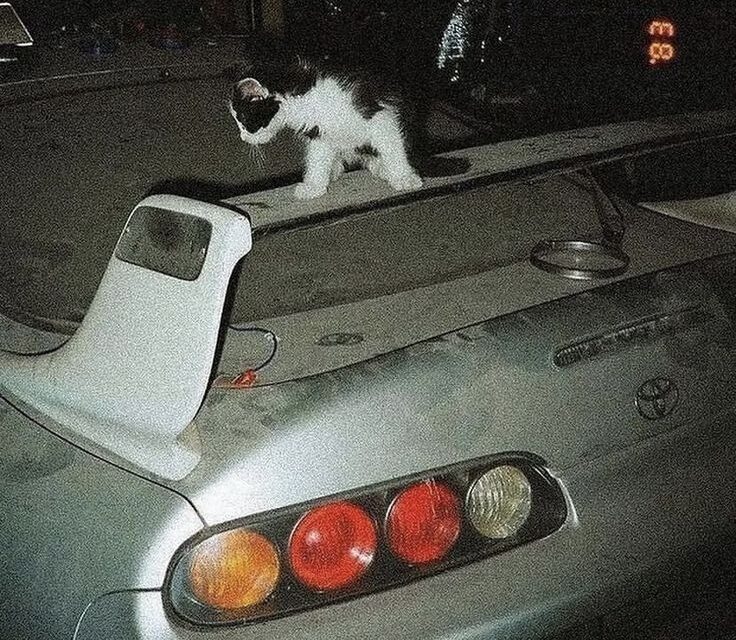 The Car Community