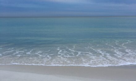 Beyond the Beaches: Inside Panama City’s Local Music Scene