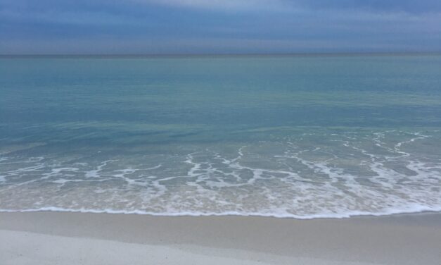 Beyond the Beaches: Inside Panama City’s Local Music Scene