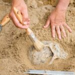 GCSC’s Anthropology Club and the Bay Anthropological Society Proudly Present “Early Spanish Florida: Unearthing the History of America’s Oldest Colony”