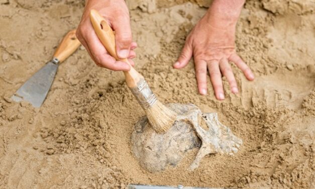 GCSC’s Anthropology Club and the Bay Anthropological Society Proudly Present “Early Spanish Florida: Unearthing the History of America’s Oldest Colony”